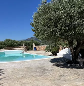 Foto annuncio 10