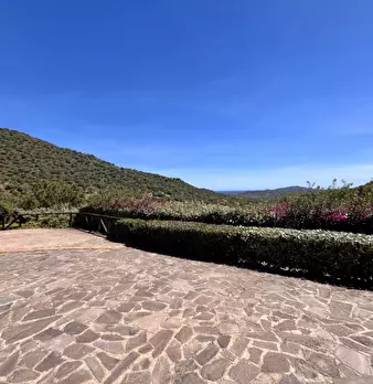Foto annuncio 15