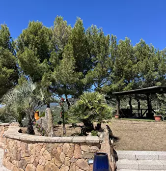 Foto annuncio 32