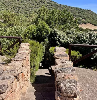Foto annuncio 39