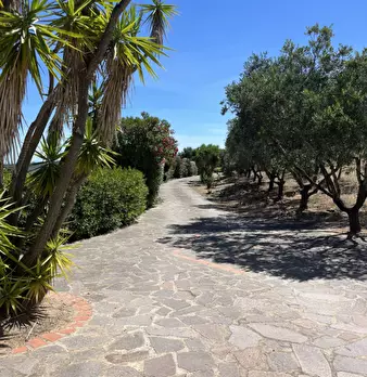 Foto annuncio 40