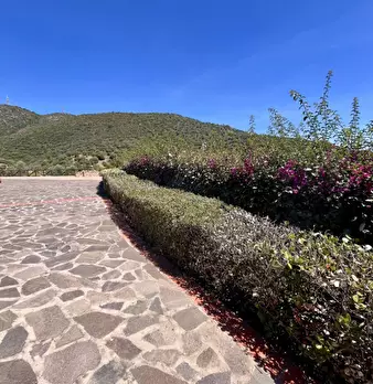 Foto annuncio 41