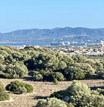 Foto annuncio 43