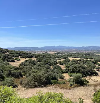 Foto annuncio 44