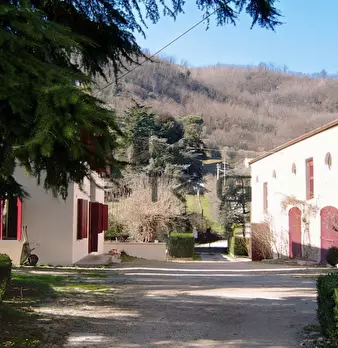 Foto annuncio 8