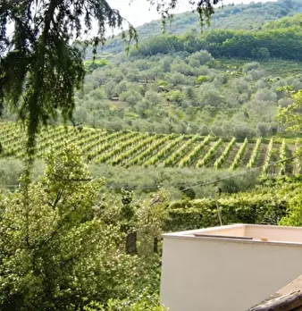 Foto annuncio 16