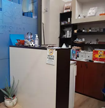 Foto annuncio 2