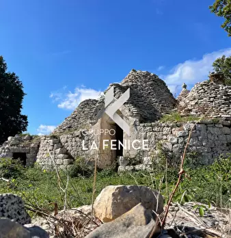 Foto annuncio 8