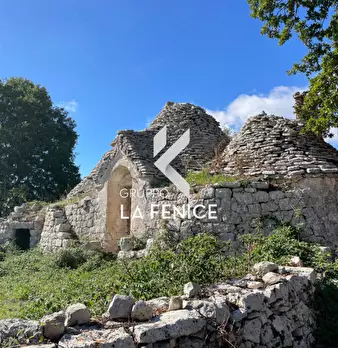 Foto annuncio 9