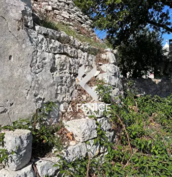 Foto annuncio 26