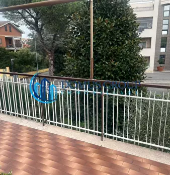 Foto annuncio 52