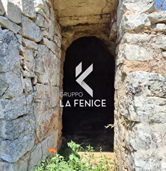 Foto annuncio 14