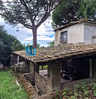 Foto annuncio 11