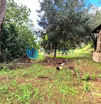 Foto annuncio 16
