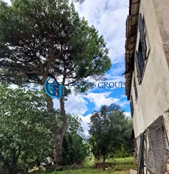Foto annuncio 17