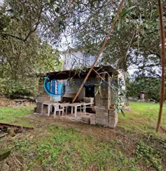 Foto annuncio 38