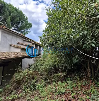 Foto annuncio 43