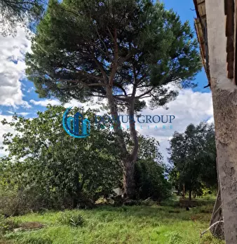 Foto annuncio 49