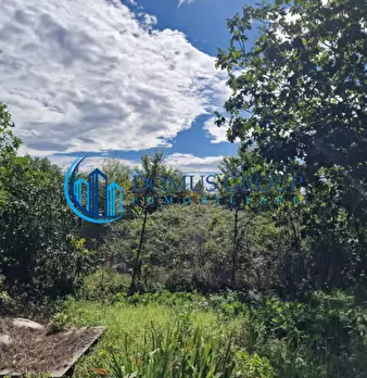 Foto annuncio 50