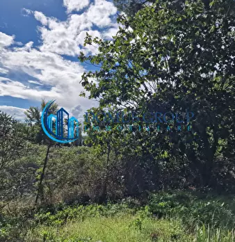 Foto annuncio 51