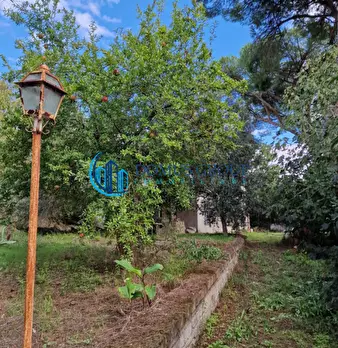 Foto annuncio 52