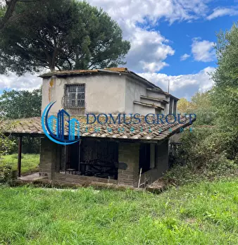 Foto annuncio 70