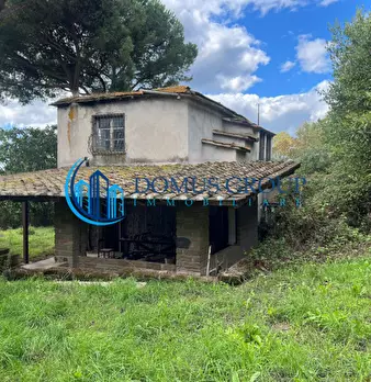 Foto annuncio 71