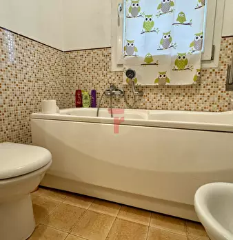 Foto annuncio 5