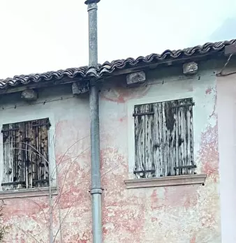 Foto annuncio 15