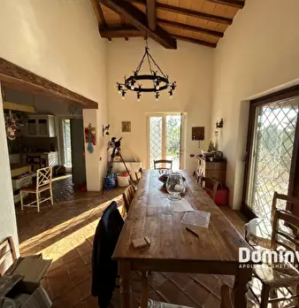Foto annuncio 47