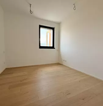 Foto annuncio 12