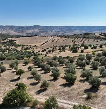 Foto annuncio 12