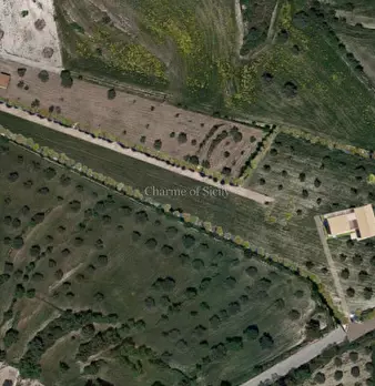 Foto annuncio 13