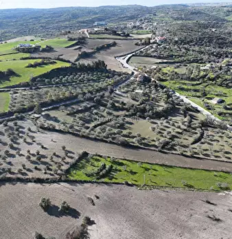 Foto annuncio 17