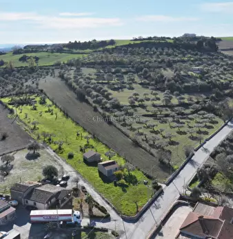 Foto annuncio 18