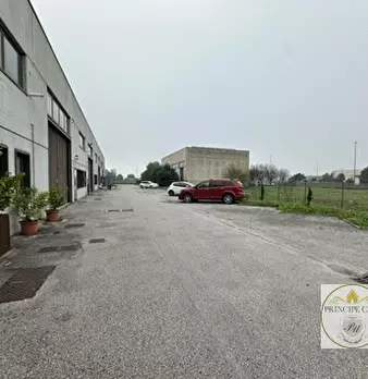 Foto annuncio 4
