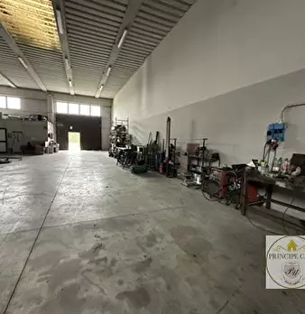 Foto annuncio 17