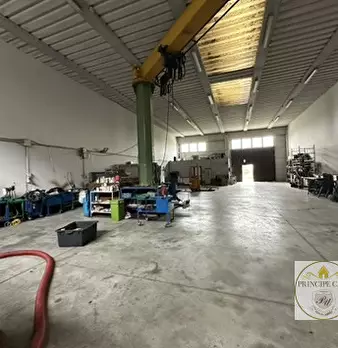 Foto annuncio 18