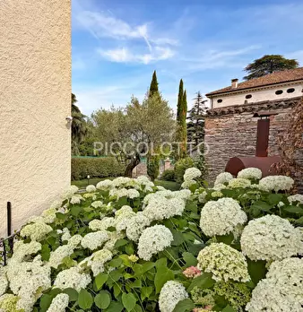 Foto annuncio 8