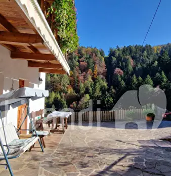Foto annuncio 12