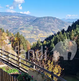 Foto annuncio 22