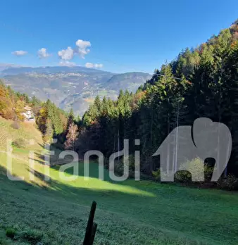 Foto annuncio 24