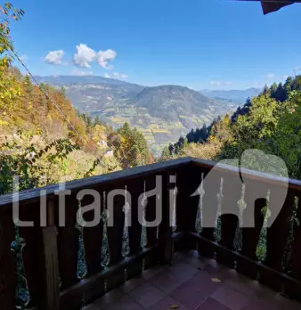 Foto annuncio 25
