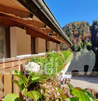 Foto annuncio 26