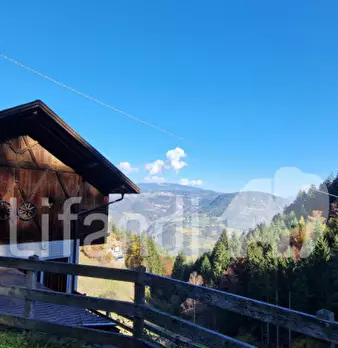 Foto annuncio 29