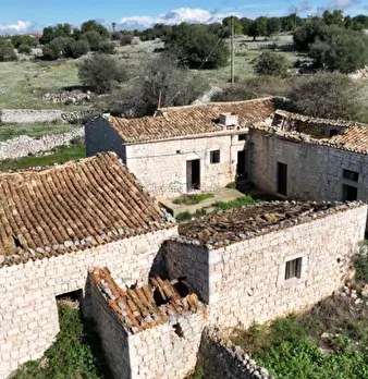 Foto annuncio 6