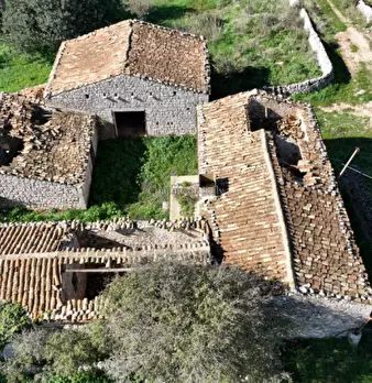 Foto annuncio 14