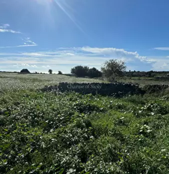 Foto annuncio 26