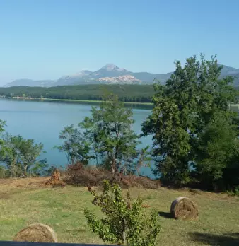 Foto annuncio 2