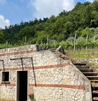 Foto annuncio 20